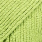39 wasabi thumbnail