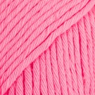 33 rosa thumbnail