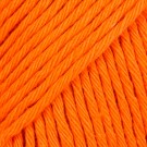13 orange thumbnail